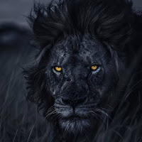 Profile Picture of King Edits