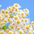 @user-id8oi1pn7w