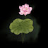 7eboADCBPSU-channel-avatar-Top Dhamma Notes
