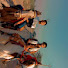 X06TKNralks-channel-avatar-Abbasi stud farm tonk
