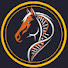 ENBxIANFzbQ-channel-avatar-The Science of Raising Horses