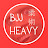 BJJHEAVY