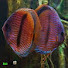 f63_jpnwhYw-channel-avatar-Sheller Aquatics