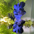 @28e22hj1 Avatar