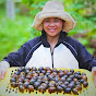 Thoa Nguyen Daily Life