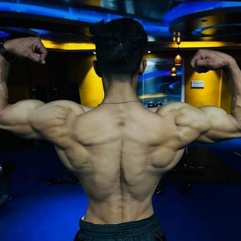 Gym And Fitness
