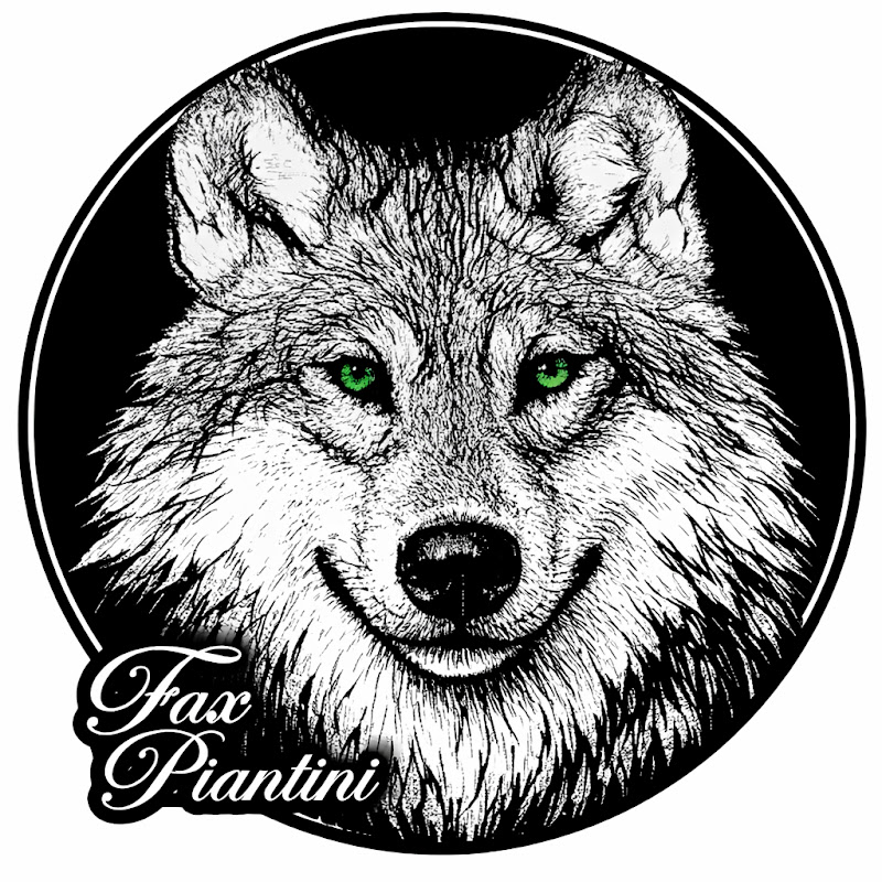 FoxPiantini Luxury Homes