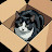 @BoxCatfilm