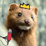hIIs9_-scSE-channel-avatar-밍끄