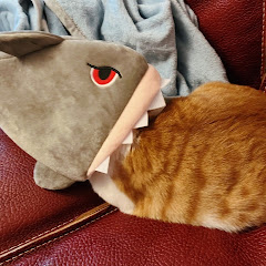 貓CatQ