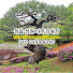 Channel Image