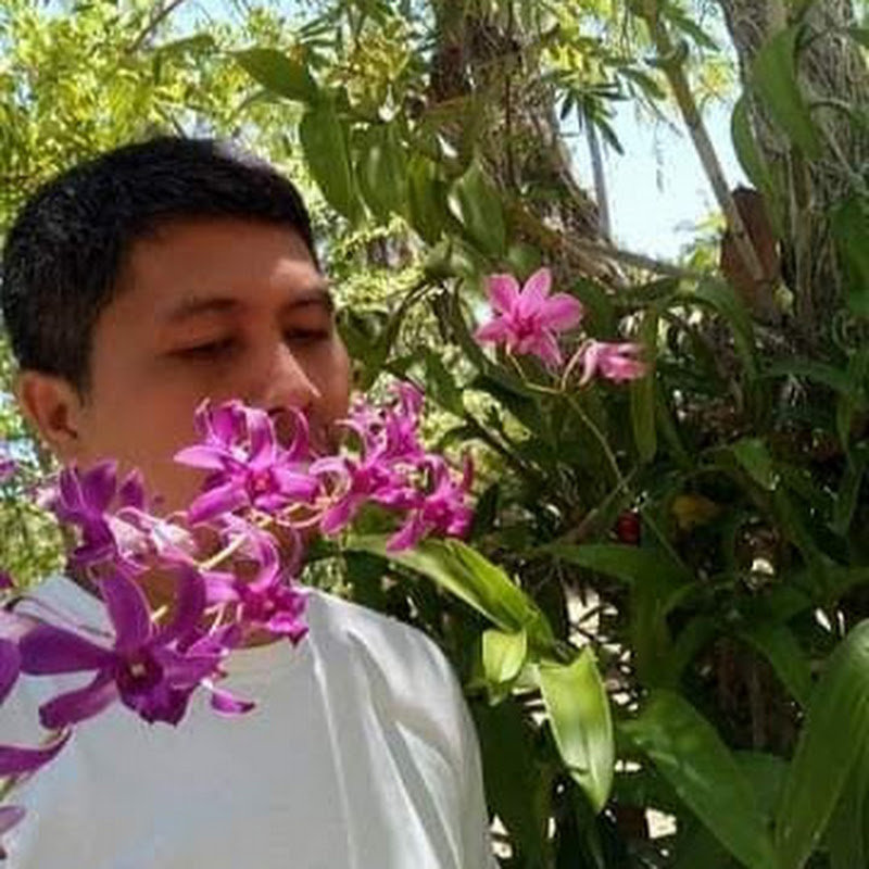 Ecotourism Journey channel avatar