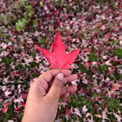 Canadavibes 🇨🇦
