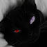 QNUWg3W4MJc-channel-avatar-Damee