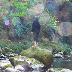 イケキャン【キャンプ場を知る事から始める】アイコン画像