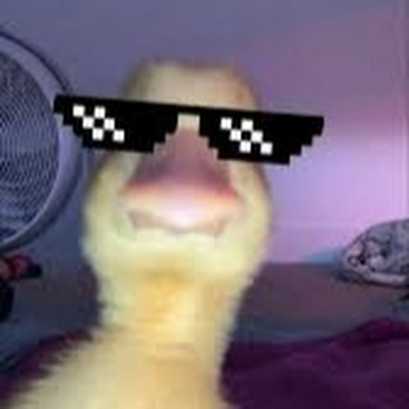 duk man