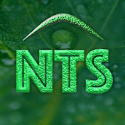 Nature Therapy Sounds