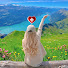 rMIhzzCCPuw-channel-avatar-switzerland walking