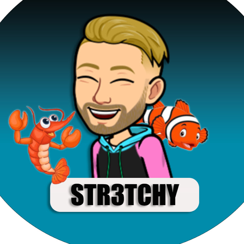 Str3tchy