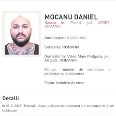 Dani Mocanu net worth