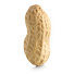 ZDeP8tk9ZA0-channel-avatar-Fried peanuts