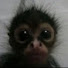 _Q8dUw5r2L0-channel-avatar-Spenceuh