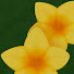 4UOiKt38DkM-channel-avatar-StarMeadow