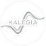 zhgQFudbTw0-channel-avatar-Kalegia