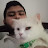 @yourcatsatisfiedmyhunger178