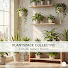 -sHx-kNWVHs-channel-avatar-Plantspace Collective