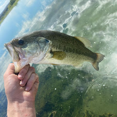 Dinks_only_fishing