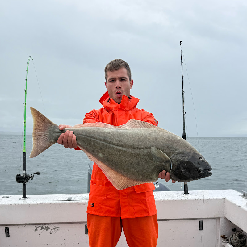 סולו אבי | Solo Avi