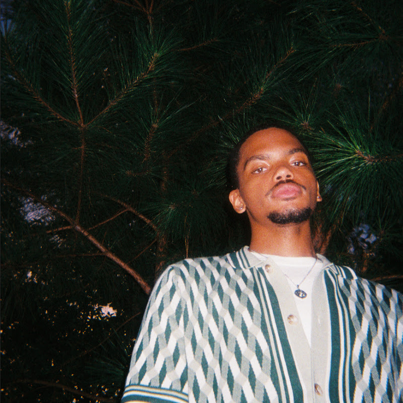 kinrose @kinrose | Thizzler