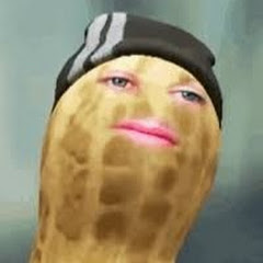 The Bungulators