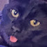 InuNstB4LDY-channel-avatar-jacarp 