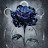 @angelitaazul2001's avatar