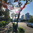 rSYY5_AE5dU-channel-avatar-하이명리