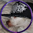 6GNzlrWggKU-channel-avatar-Crazy Dave Gaming