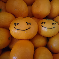 南部の語りと祭り、そして自然