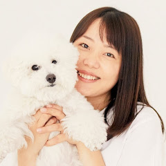 犬育ての先生　宮本あかりアイコン画像
