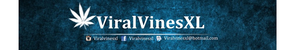 Viral Vines XL Avatar de chaîne YouTube