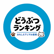 どうぶつランキング