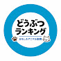 どうぶつランキング