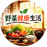 tSHnFaTVDrY-channel-avatar-野菜健康生活