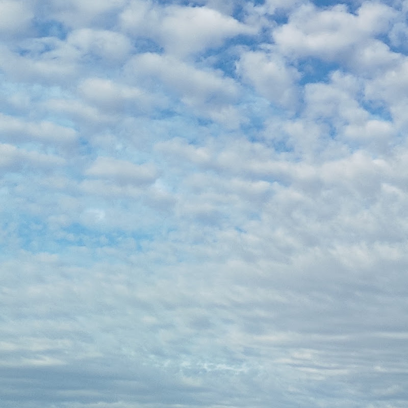 Марталожка