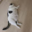 @개미와베짱이11