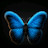 @RehamMuhammedali