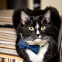 Mr. Whiskers The Tuxedo Cat logo
