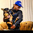 @D.solo191