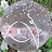 @eyekosaeder5387 Avatar